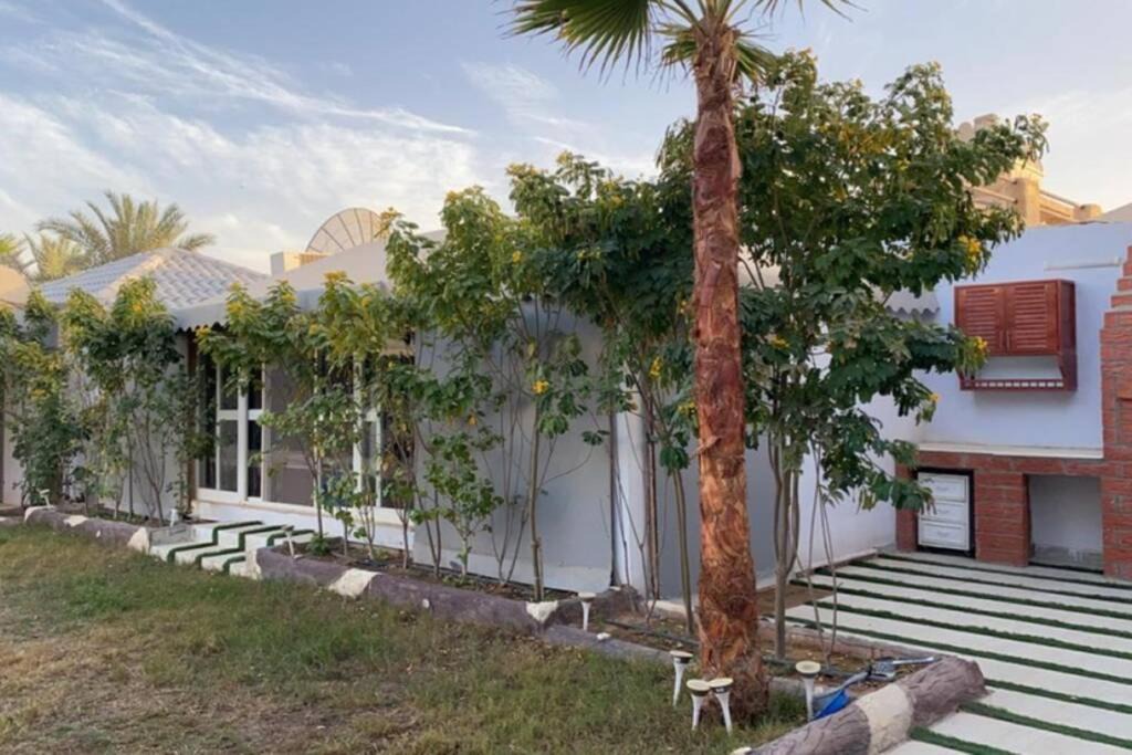 Riyadh Ski Chalet | شالية فهد