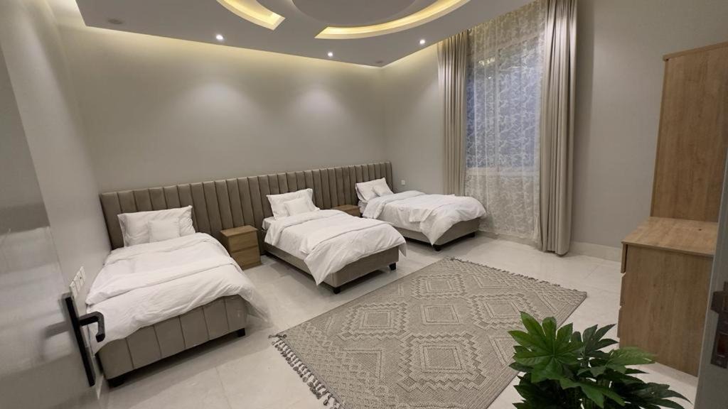 Abha Apartment | شقق للاجار ابها