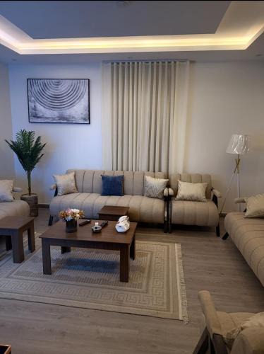 Mizail Apartment | غرفه صاله بتصميم مودرن مدخل سياره
