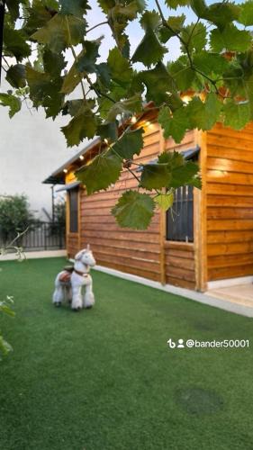 Taif Ski Chalet | كوخ الوهط الريفي