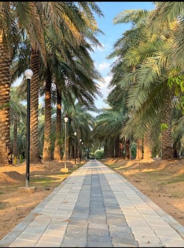 Buraydah Resort | منتجع كسب