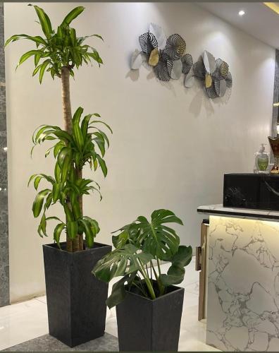 Al Duwadimi Apartment | نوفل للشقق المخدومة