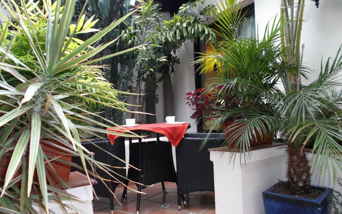 El Guincho Apartment | 45 m² Apartment ∙ 1 bedroom ∙ 2 guests