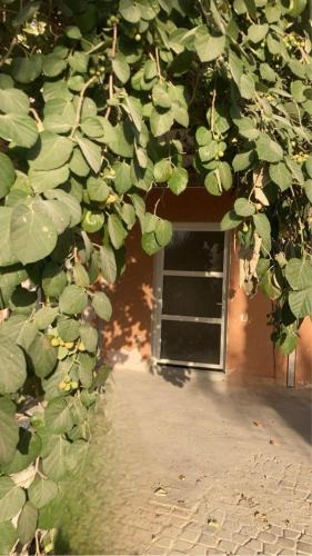 Dhahran Cabin | Almalfa