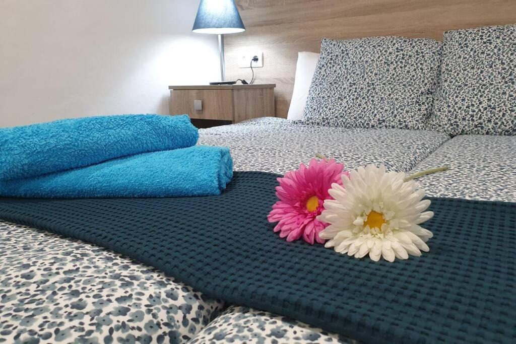 Mozaga Apartment | Apartamento Eucalipto