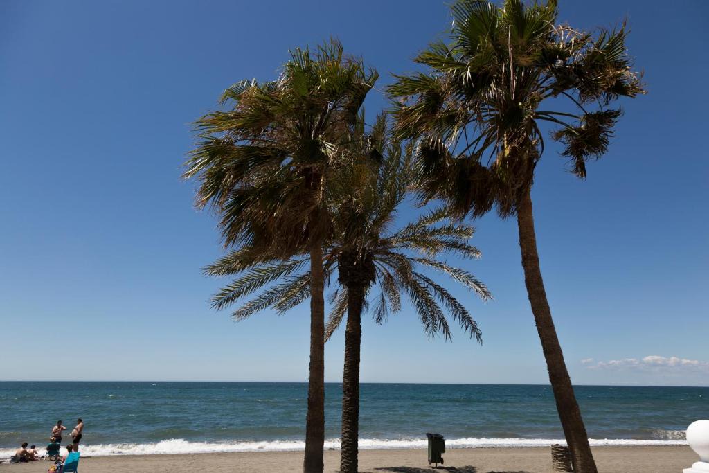 Rio Velez Apartment | Apartamento Solárium