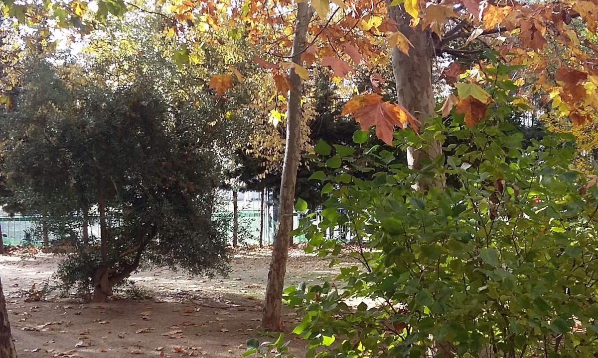 Hortaleza Apartment | APARTMENT-IFEMA-AIRPORT-METROPOLITANO-TRANQUILITY