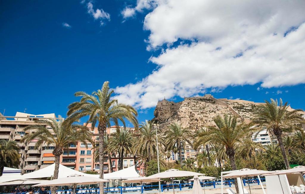 The Beach | Pla del Bon Repos