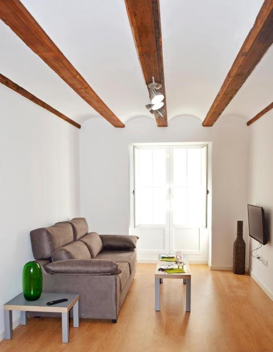 El Botanic Apartment | Botànic Apartaments