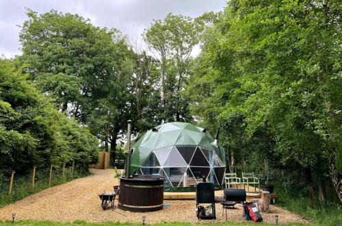 Willesborough Other | Cherry Tree Dome