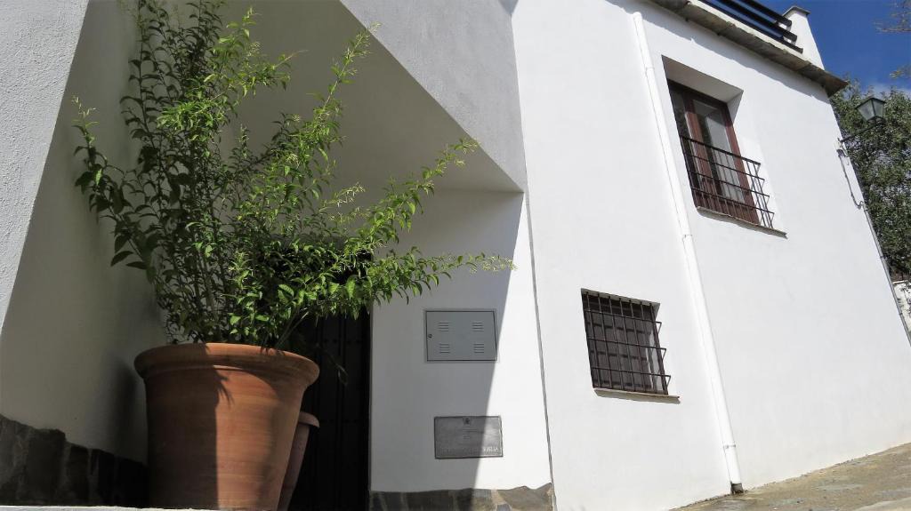Fregenite House | El Retiro