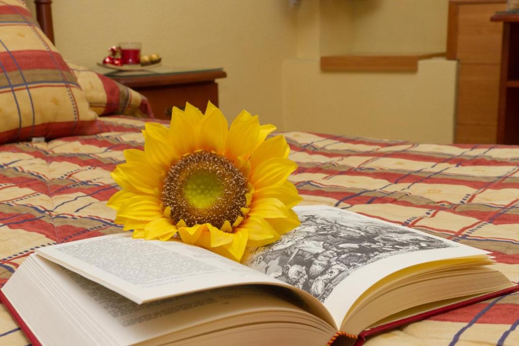 El Espinar House | Hostal Siete Picos