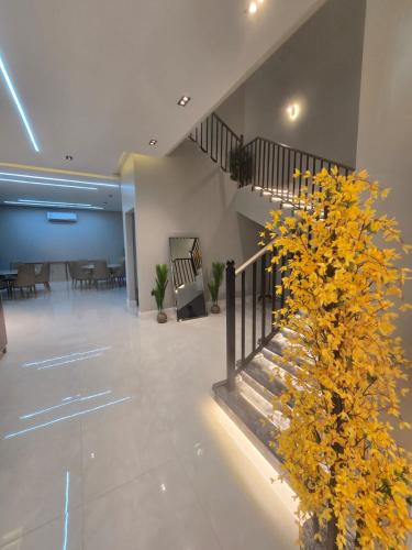 Medina House | Levana Chalet