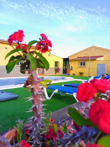 Alora House | Villa Toliso