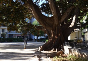 A. San Vicente III