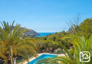 Abahana Villas Palmtrees