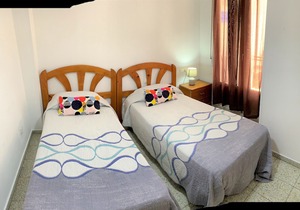 Delightful 3 Bedroom Apartment with Terrace Esp1ev