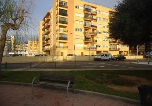 Los Labradores