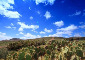 MONTAÑA VALLES DE ORTEGA -C