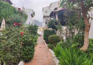 NUEVA NERJA 22 MENYBER