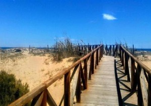 R-5080 La Mata Apartment