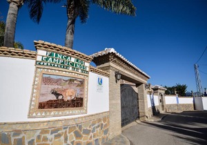 Tu Villa Rural Cortijo Los Campesinos 4 Dormitorios Piscina privada