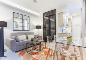 Zoko Suites V apartment in Madrid