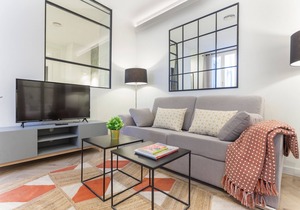 Zoko Suites V apartment in Madrid