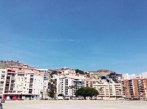 Estirpe | Cullera