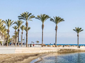 Solanas Torrevieja | Los Altos