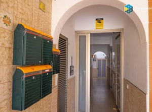 Apto Pax | S'illot