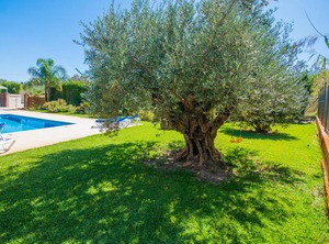 Cubo Finca Fahala Sun | Alhaurin el Grande