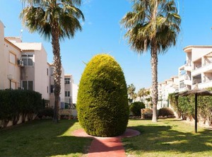 La Cinuelica | Orihuela Costa
