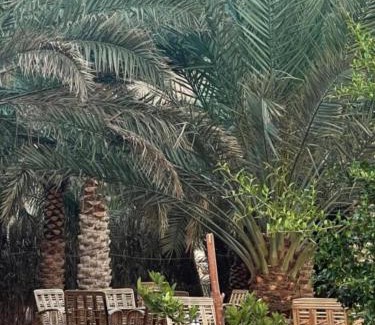 AlUla House | مبيت نسيم الجبل