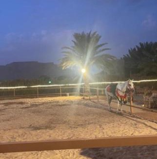 AlUla House | مبيت نسيم الجبل