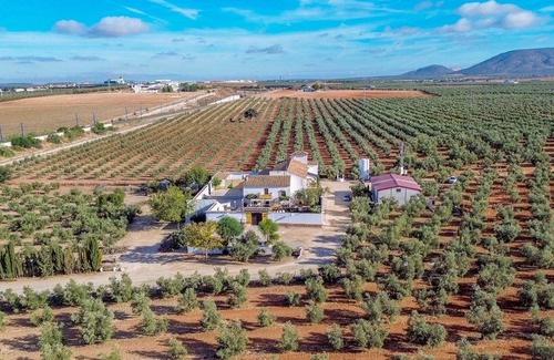 Fuente de Piedra House | 400 m² House ∙ 6 bedrooms ∙ 16 guests