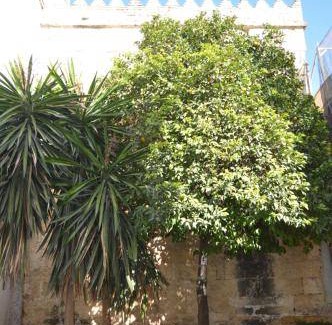 Jewish Quarter Apartment | 55 m² Apartment ∙ 2 guests