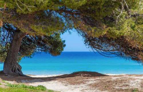 Alcudia Apartment | Apartment Countess Garden 2-2, Sun of the Bay Vidalba 2, at Alcudia Beach