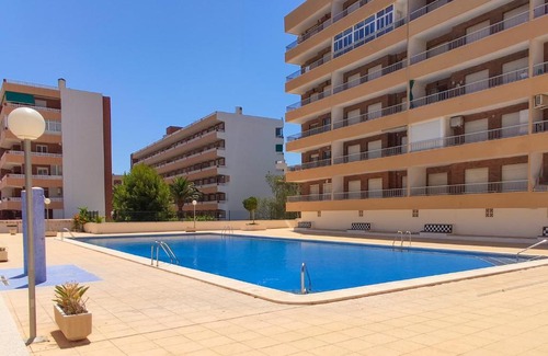 Punta Prima Apartment | Apartment Punta Prima Rocio Del Mar, Torrevieja, Calle Arrecife