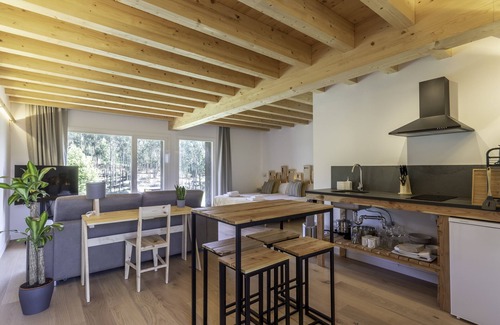 Berreaga-Mendi Apartment | Basoan