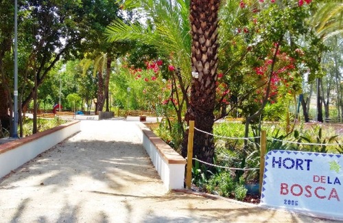 Oliva Apartment | Holiday apt offer