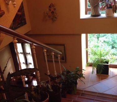 Loureiro House | House ∙ 2 guests