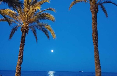 Pla del Bon Repos Resort | Private room ∙ 2 guests