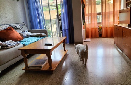 Sant Antoni Resort | Private room ∙ 2 guests