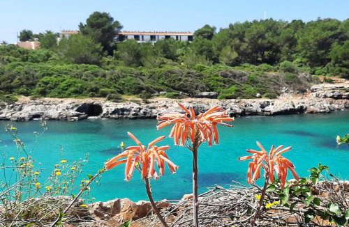 Son Carrio House | Ático Playa Santandria con Piscina y Wifi
