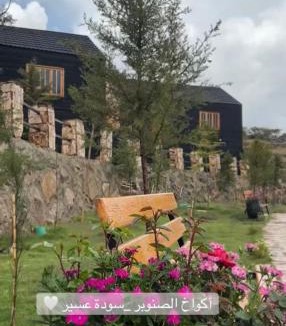 'Asir Cabin | أكواخ الصنوبر