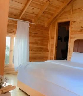 'Asir Cabin | أكواخ الصنوبر