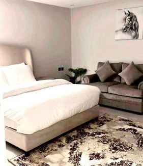 Al Aqiq Apartment | استديو مودرن