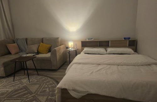 Ha'il Apartment | استوديو فندقي بإدارة خاصة