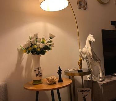 Shaqra Apartment | اســتديو فـــخمة